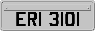 ERI3101