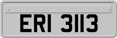 ERI3113