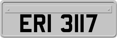 ERI3117