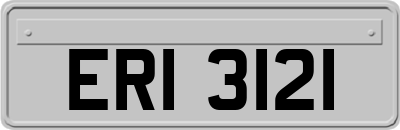 ERI3121
