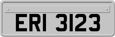 ERI3123