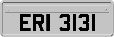 ERI3131