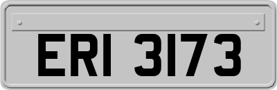 ERI3173