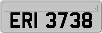 ERI3738