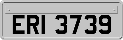 ERI3739
