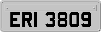 ERI3809