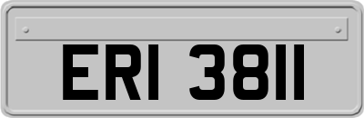ERI3811