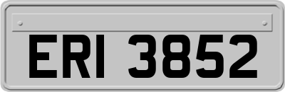 ERI3852