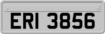 ERI3856