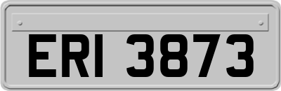 ERI3873