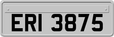 ERI3875
