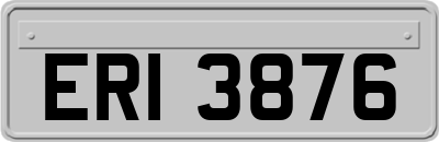 ERI3876