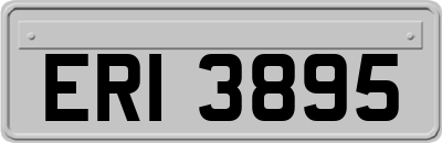 ERI3895