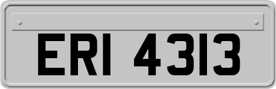 ERI4313