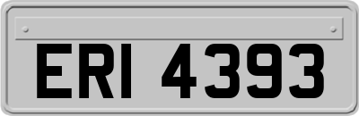 ERI4393