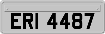 ERI4487