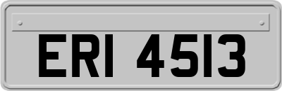 ERI4513