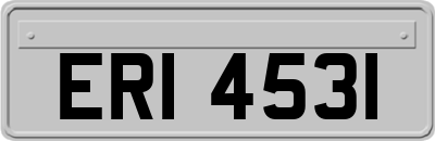 ERI4531