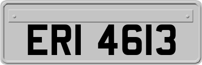 ERI4613