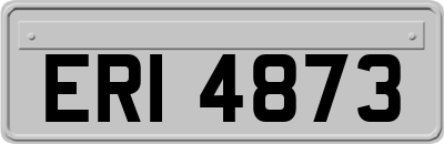 ERI4873