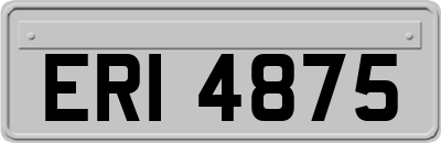 ERI4875