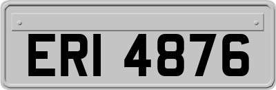 ERI4876