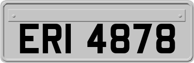 ERI4878