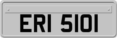 ERI5101