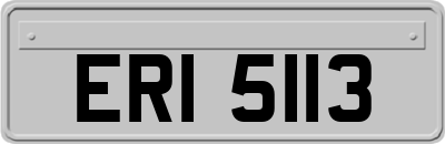 ERI5113