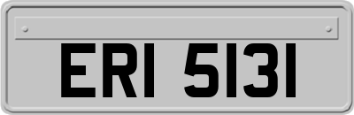 ERI5131