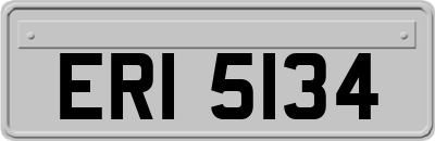 ERI5134