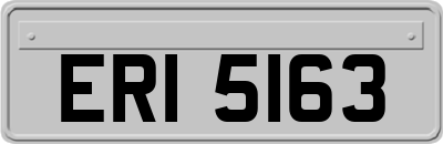 ERI5163
