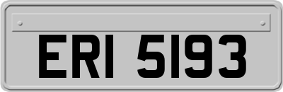 ERI5193