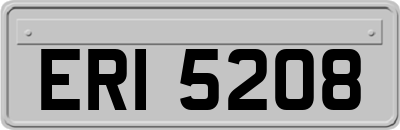 ERI5208