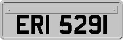 ERI5291