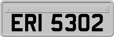 ERI5302