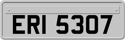 ERI5307