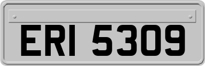 ERI5309