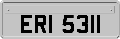 ERI5311