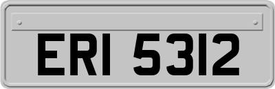 ERI5312