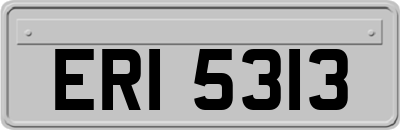 ERI5313