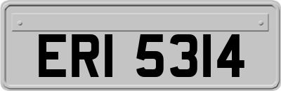 ERI5314