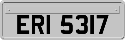 ERI5317
