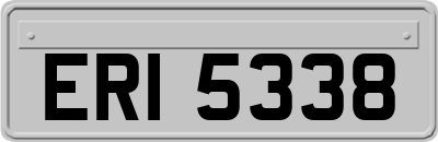 ERI5338