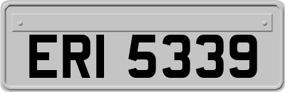 ERI5339