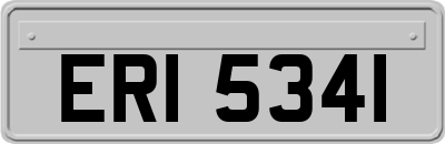 ERI5341
