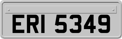 ERI5349