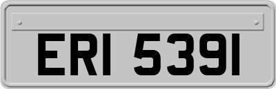 ERI5391