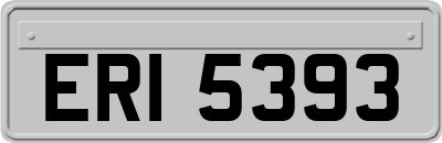 ERI5393