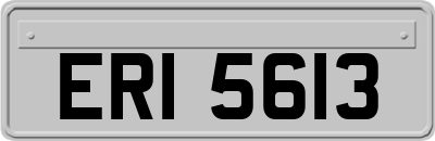 ERI5613